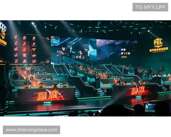 和平精英巨献：深入解析RNG战队的技术实力与战术策略